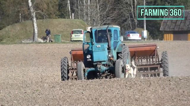 Seeding 2023 | T-40 AM & SZ 3.6 seeder смотреть онлайн
