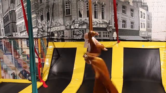 Боровикова Александра смотреть онлайн