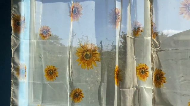 Wirhlly 2PCS Sunflower Curtains Kitchen Decor Yellow Sheer Curtains Review смотреть онлайн