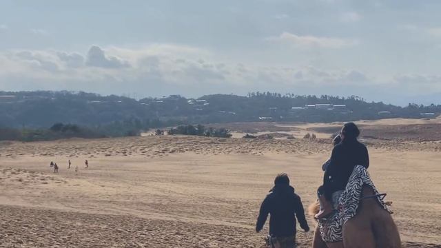 TRAVEL JAPAN TOTTORI SAND DUNE NOV 2O19 DAY 2 IPHONE XS MAX смотреть онлайн