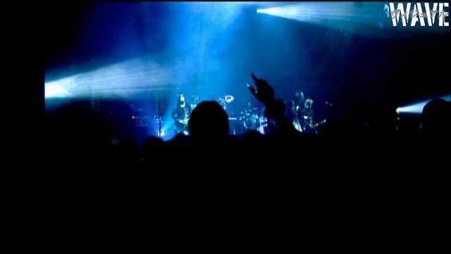 ACID ANDROID - ACID ANDROID LIVE 2010 смотреть онлайн