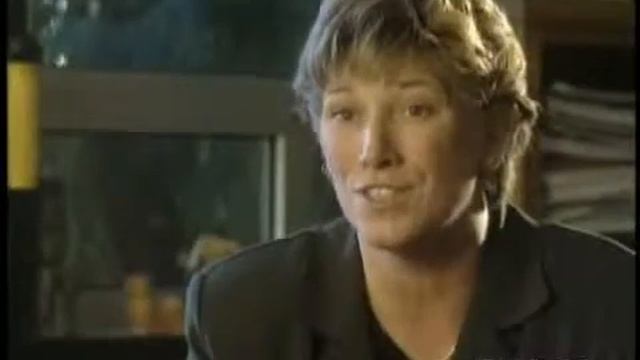 2000 Golden Apple Award Winner: Alina C. Fuentes смотреть онлайн