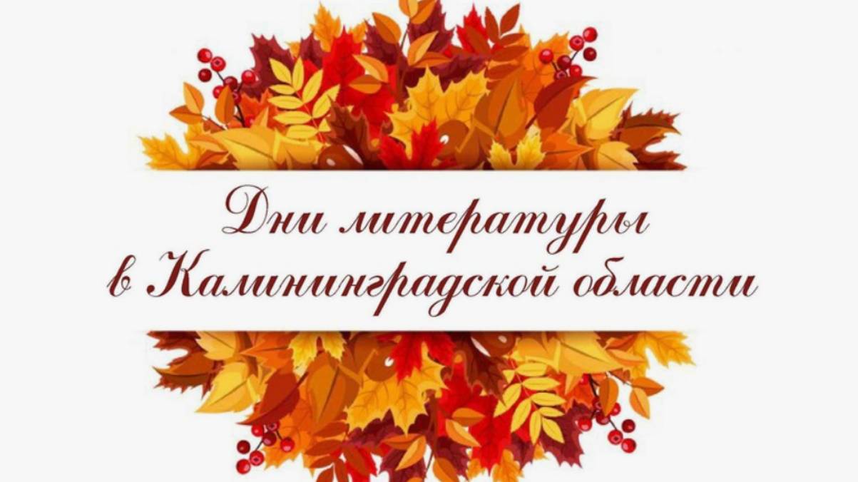 Дни литературы Калининградской области в Знаменской детской библиотеке смотреть онлайн