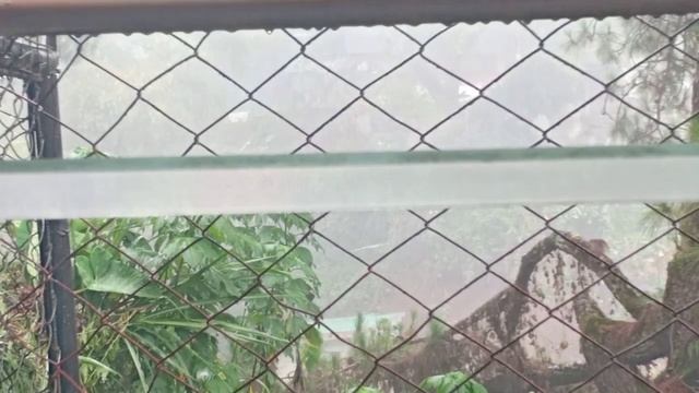 The World Outside My Window As It Rains ( Slight Heavy Rain and Thunder For 30 Minutes Relaxation) смотреть онлайн