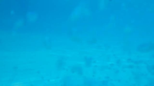 Бассейн 1 смотреть онлайн