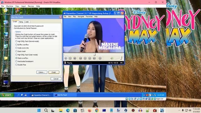 Windows XP BSOD 1126 (2023) смотреть онлайн