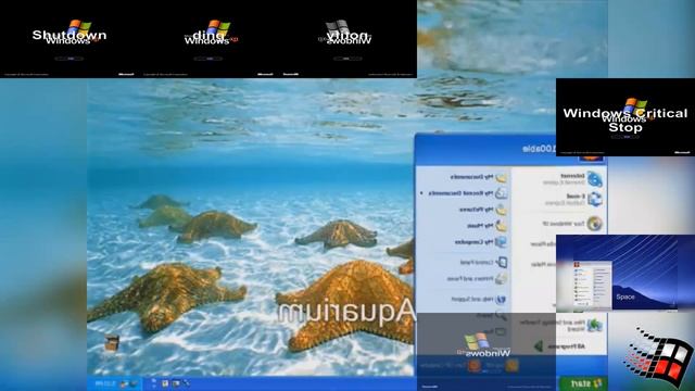 [Windows XP's 20th Anniversary Special 1/3] Windows XP - Technological Madhouse Remix смотреть онлайн