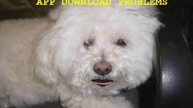 How to fix Windows store problem downloads смотреть онлайн