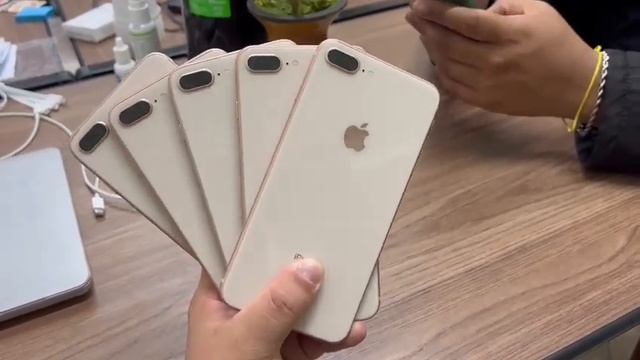 IPHONE 8 PLUS 64 GB MELHOR NO ATACADO DO BRASIL. смотреть онлайн