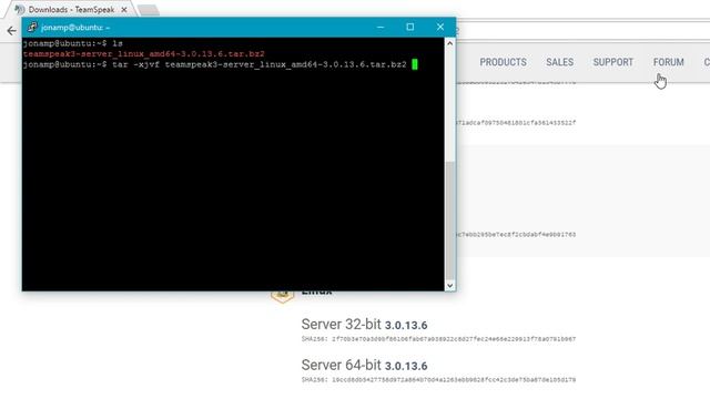 TUTORIAL - CREAR SERVIDOR DE TEAM SPEAK 3 EN LINUX(Debian, Ubuntu,CentOS...) 2017 смотреть онлайн