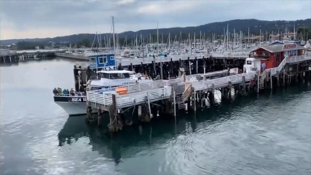 California San Fransisco Jose Monterey Los Angeles Oceanside LAX Scenic Walk Drive Train USA смотреть онлайн