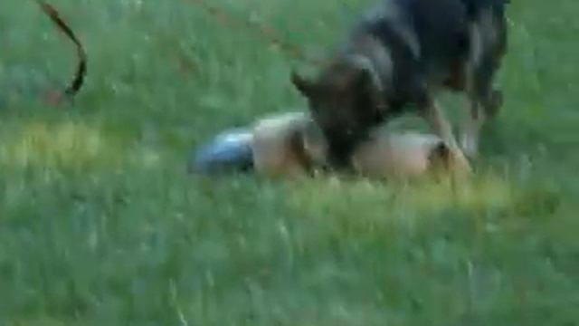 Vader von Weber bite work.WMV смотреть онлайн