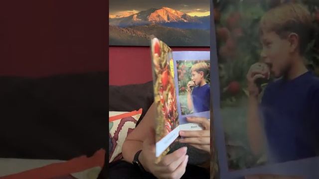 Apples Grow on Trees смотреть онлайн