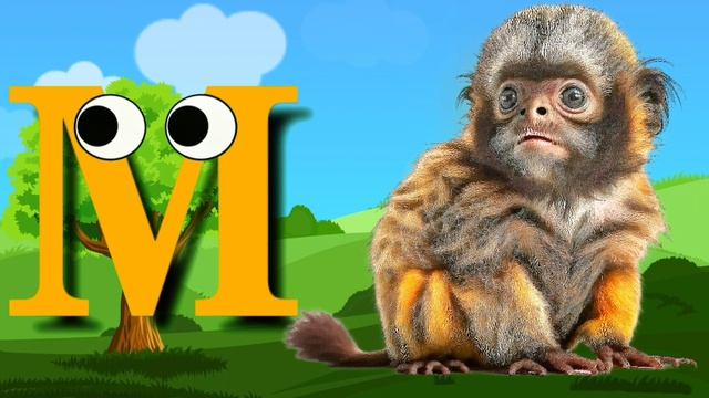 A for apple, B for bear, c for cat , full ABC learning with fun A to Z смотреть онлайн