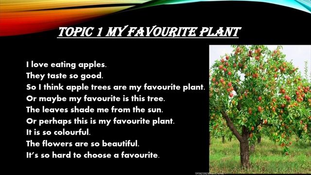 Class#2 Subject Science Topic My favorite Plant смотреть онлайн