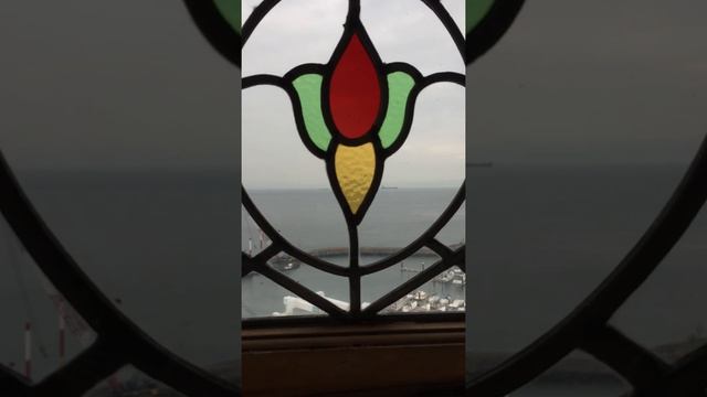 The View Out My Window: March 31, 2020 смотреть онлайн