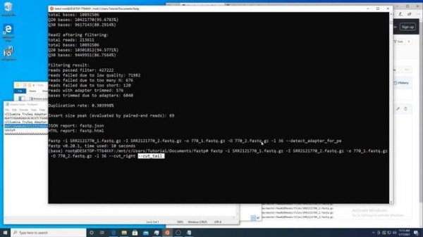 Bioinformatics - fastp FastQ Preprocessing Tool (Timestamps)