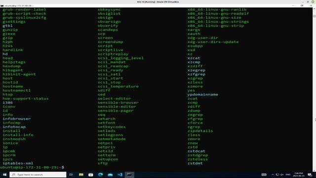 Week 2 Lab 2: Introduction to Linux смотреть онлайн