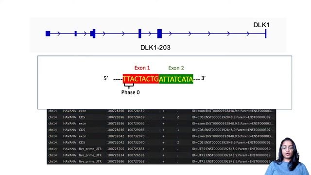 Understanding Bioinformatics File Formats: GFF3 and GTF смотреть онлайн