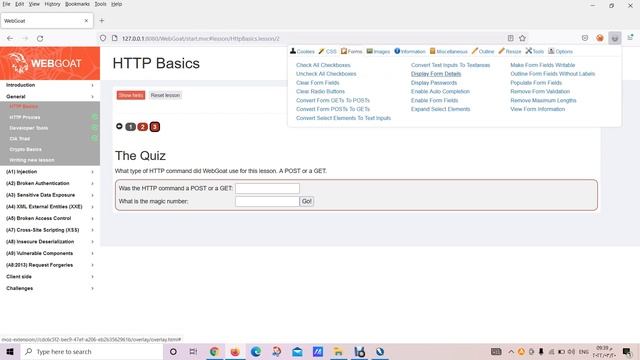 WEBGOAT HTTP Basics смотреть онлайн