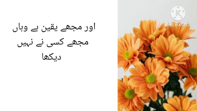 Apples eat it when no one is looking at-Allah is watching-Moral video-Urdo/Hindi story смотреть онлайн