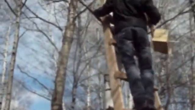 11 класс выпускной.wmv смотреть онлайн