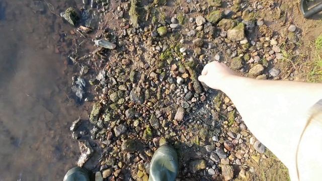 ДРЕВНЕЕ СЕРЕБРО и другие находки со дна реки - поиск сокровищ с МЕТАЛЛОИСКАТЕЛЕМ #xpdeus2 #поиск