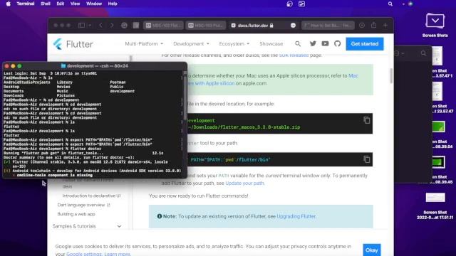 How to Install Flutter on MacOS смотреть онлайн