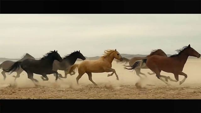 Apple whole event 2020 in 1 minute смотреть онлайн