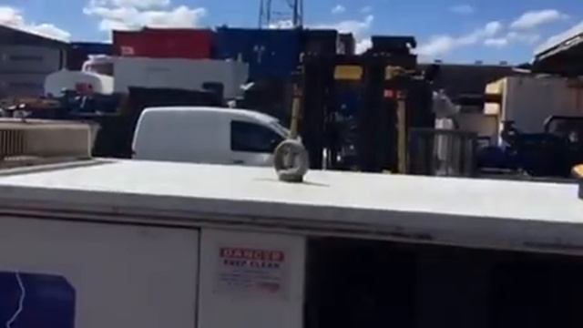 Scorpion 55 Kva diesel generator смотреть онлайн