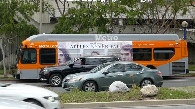 Actress Annette Bening Apples Never Fall Bus Los Angeles California USA March 15, 2024 смотреть онлайн