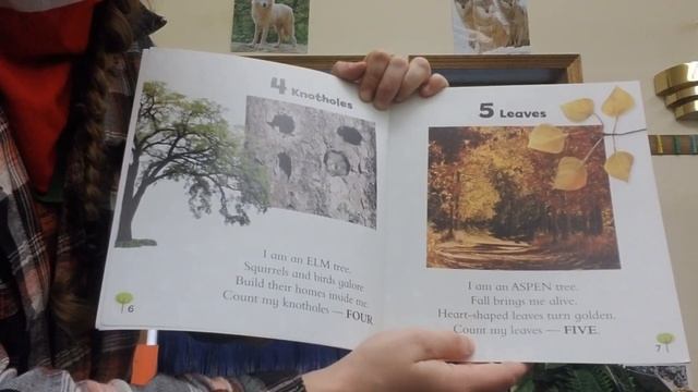 Tree Study: What comes from trees? (October 5, 2020) смотреть онлайн