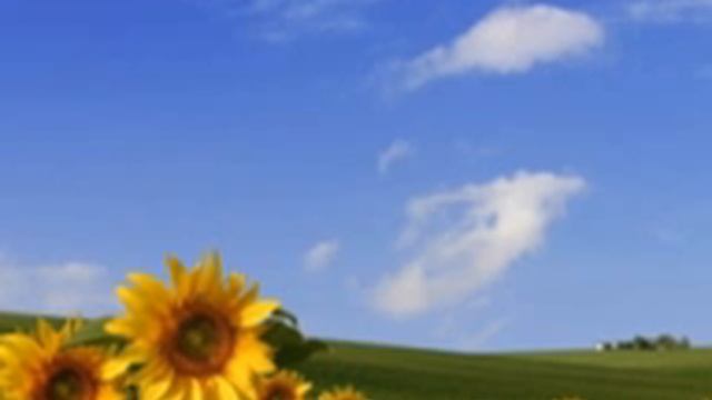 Windows error remix смотреть онлайн