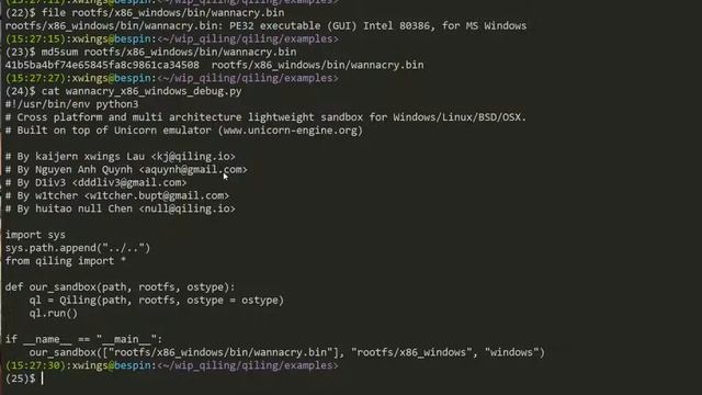 Qiling Framework - Running Wannacry PE32 on Ubuntu смотреть онлайн