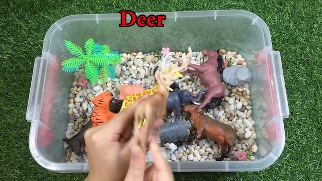 Aprende Los Animales Con Juguetes Para Niños - Sonidos De Animales Y Nombres En Ingles