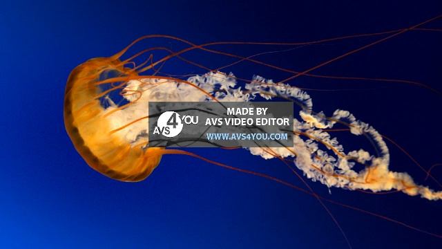 Sample Video Windows 7 смотреть онлайн