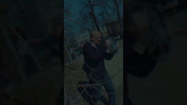 Бэкстейдж со съемок встречи владельцев биглей "Биглетуса" [снято на iPhone - coupleinvideo.ru] смотреть онлайн
