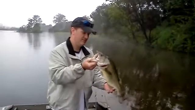 More of Mac's fish смотреть онлайн