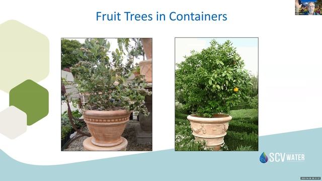 SCV Water Landscape and Gardening Workshop: Small Space Gardening смотреть онлайн