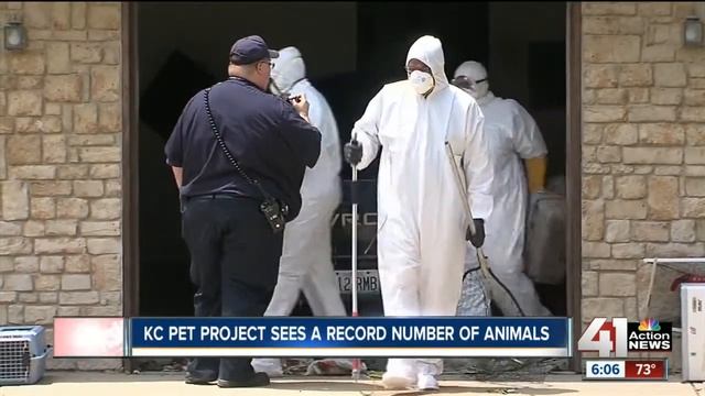 KC Pet Project could beat its previous record смотреть онлайн