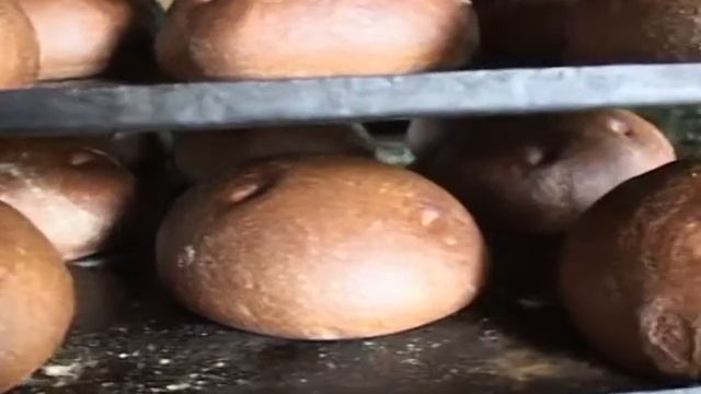 100 лучших товаров России Камышинский хлебокомбинат смотреть онлайн