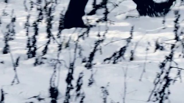 introducing a new digital resource on 3rock.net, iTunes, YouTube, and Vimeo смотреть онлайн