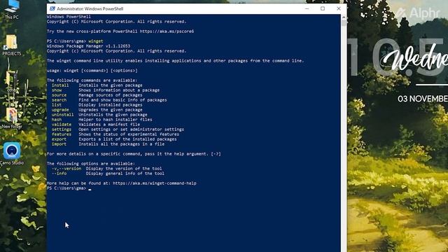 How to Install a Package Manager on Windows смотреть онлайн