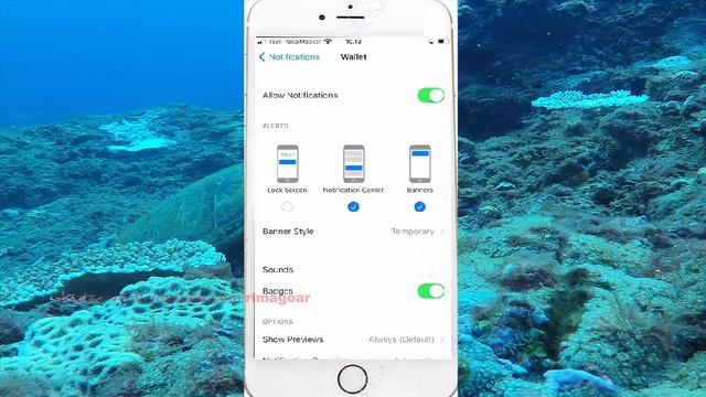 How To Set Wallet Notification Grouping As By App In IPhone 7