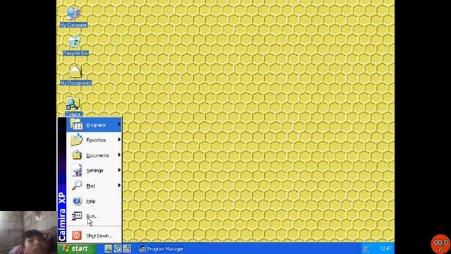 Windows 3.1 And Calmira XP Startup and Shutdown(Emulator) смотреть онлайн