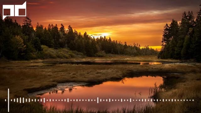 MitiS Open Window feat Anna Yvette) смотреть онлайн