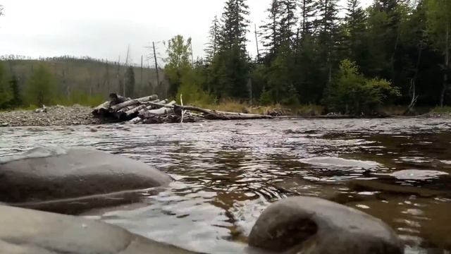 MEIZU M3 Note. Образцы фото и видео. Photo&video samples. смотреть онлайн