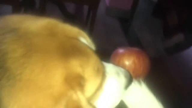 An apple a day keeps doctor way смотреть онлайн