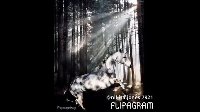 Mac memories rise [2000] смотреть онлайн