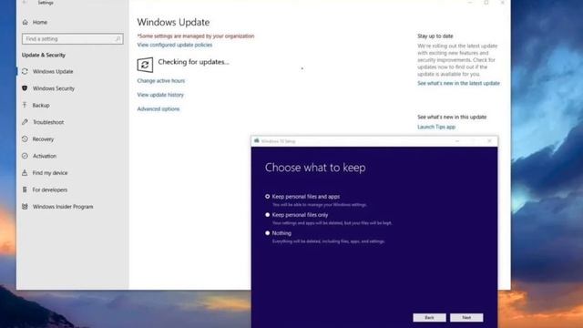 Get the #Windows 10 October 2020 Update смотреть онлайн